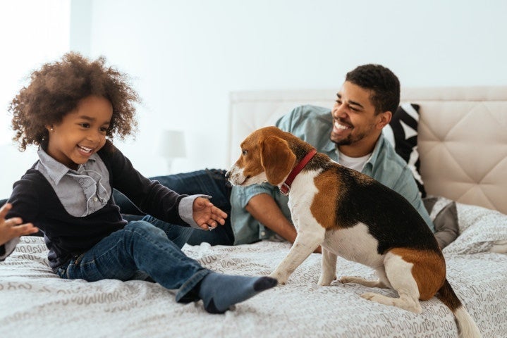 Father and son playing with a dog