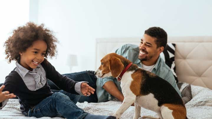 Father and son playing with a dog