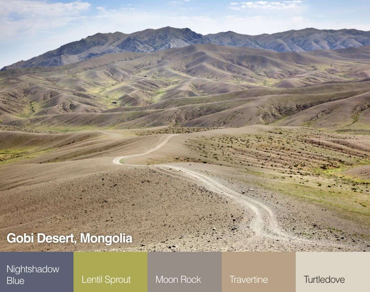 Gobi Desert, Mongolia