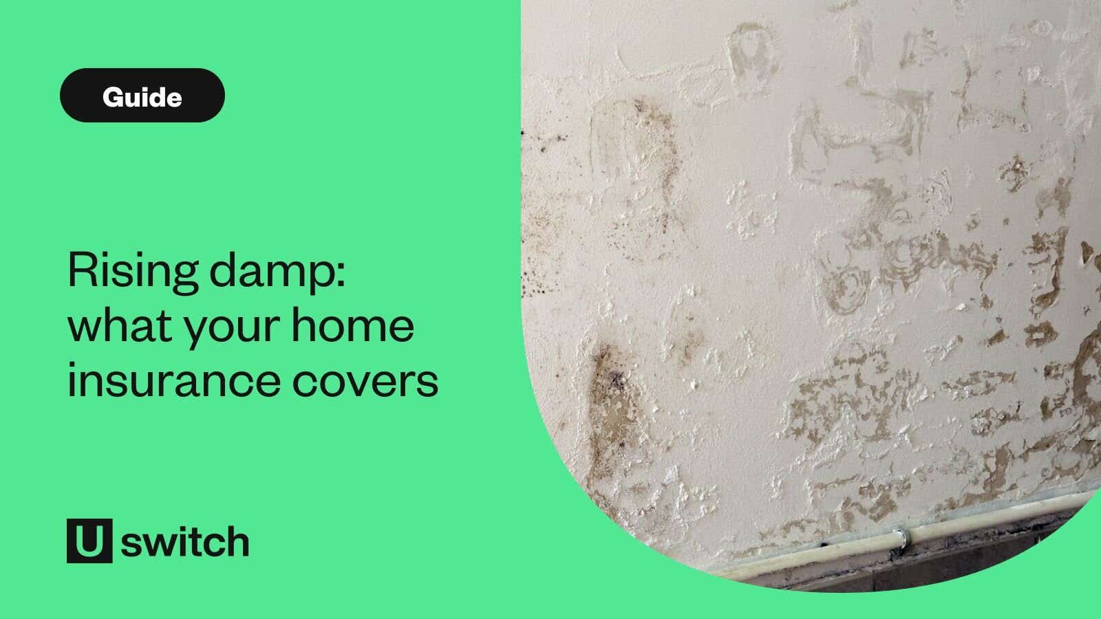 wall with rising damp and stains