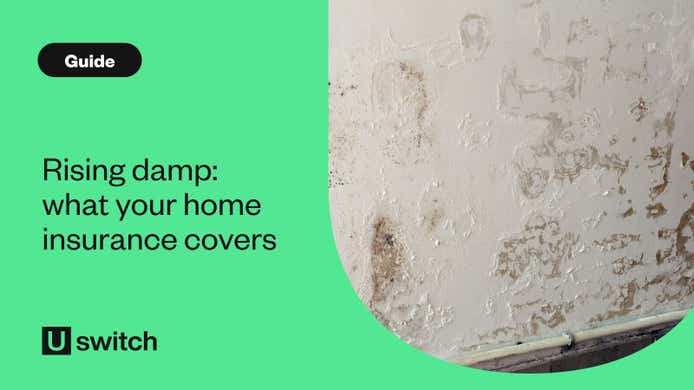 wall with rising damp and stains