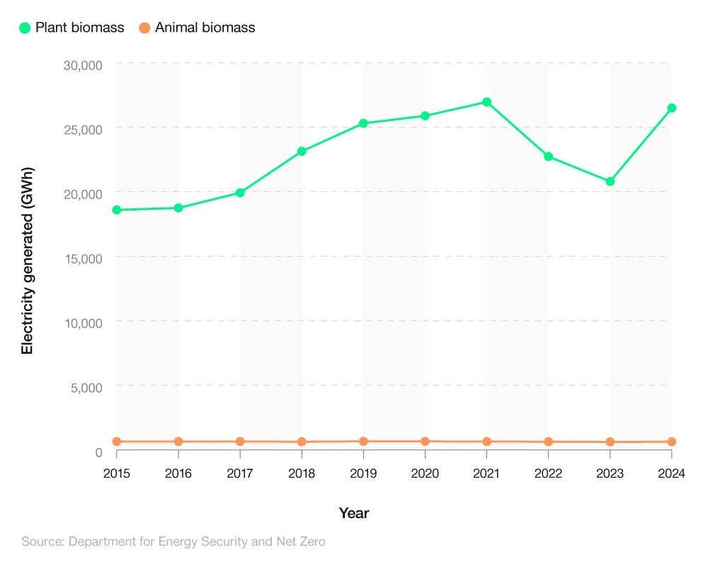 Comparative line chart showing the electricity generated by plant and animal biomass (2015-24)