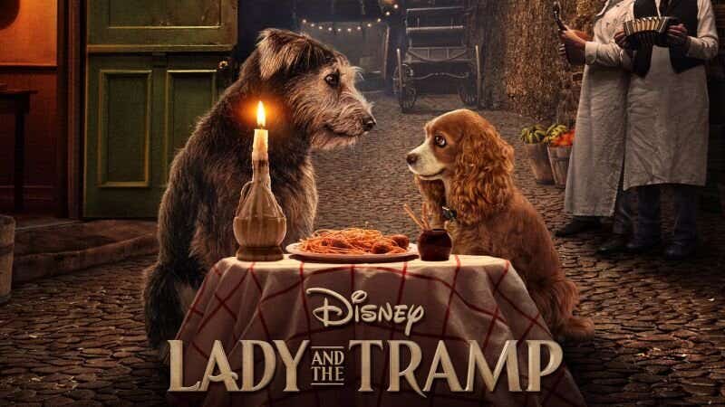 movie poster of disney plus lady and the tramp