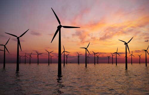 An offshore wind farm