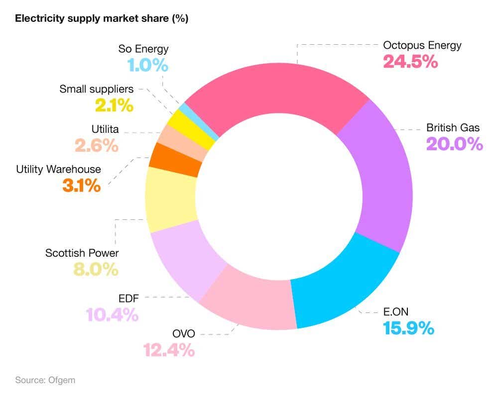 A pie chart showing the percentage market share of the biggest domestic electricity suppliers in the UK.