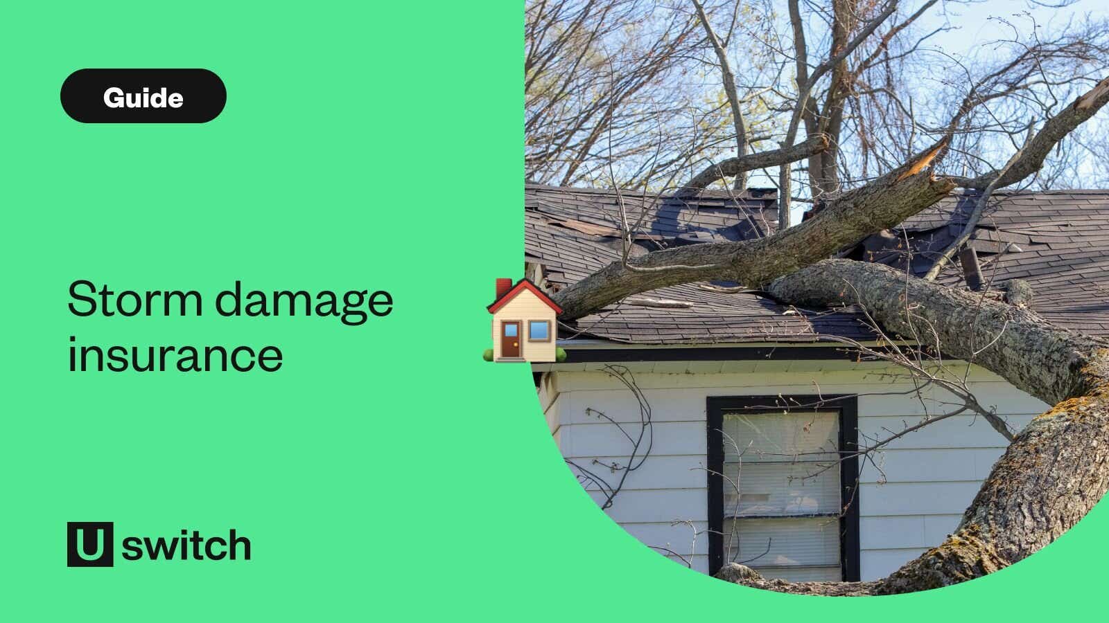 Tree fallen on roof of house