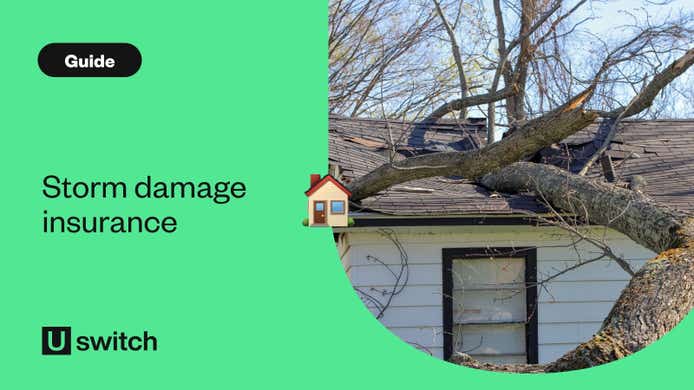 Tree fallen on roof of house