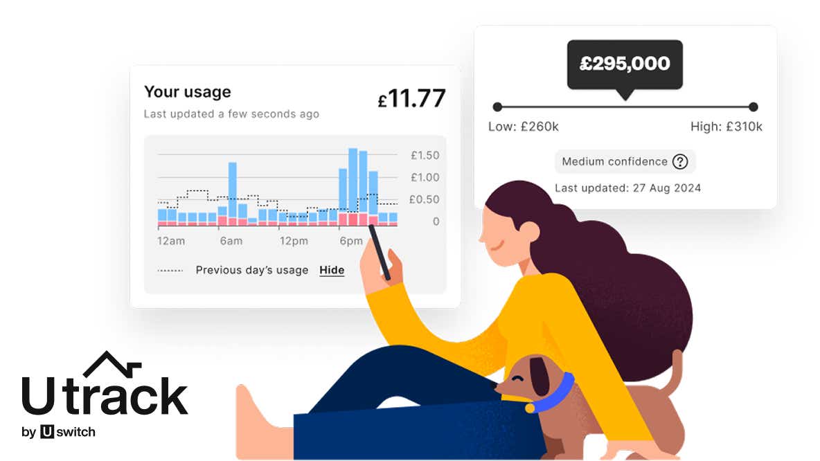 Illustration showing an energy usage graph and home valuation