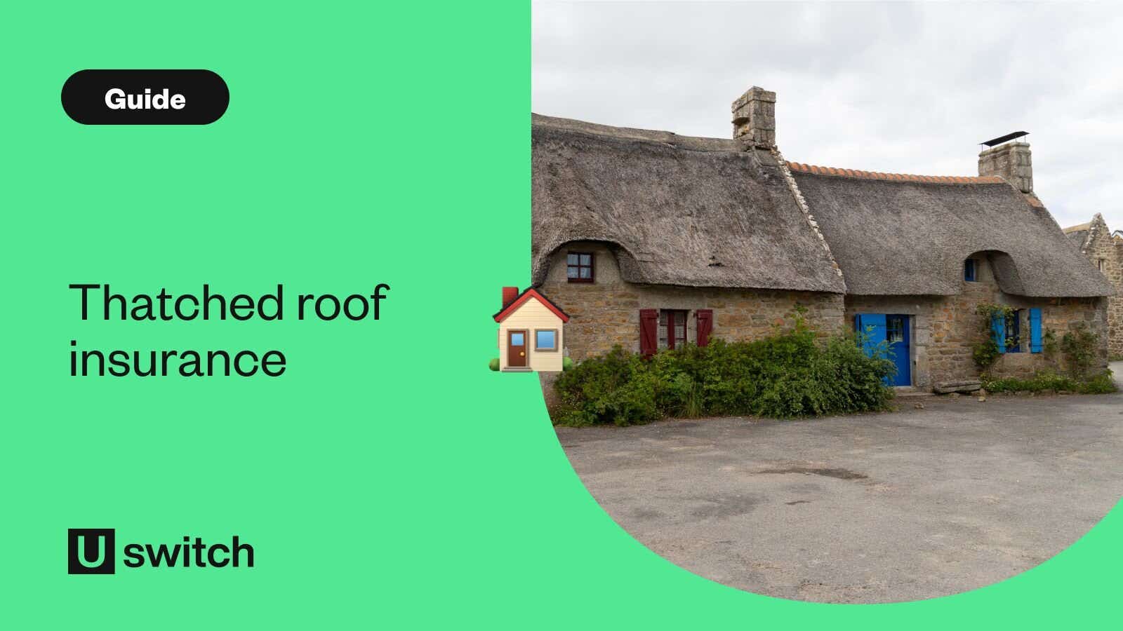 Thatched roof insurance