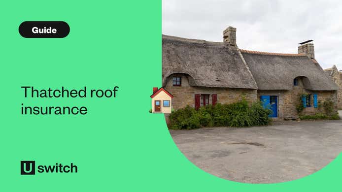 Thatched roof insurance
