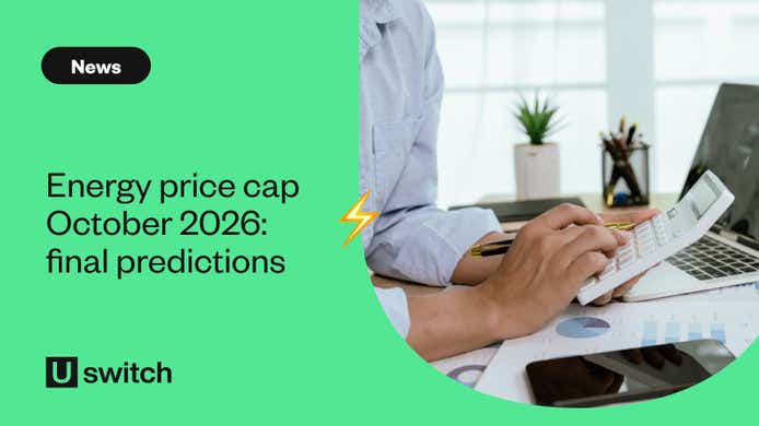 Person working out price cap on calculator with computer 