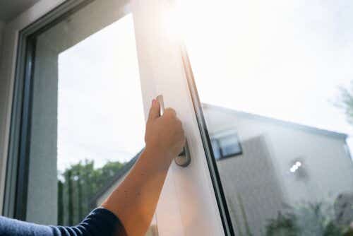 Door with double glazed windows