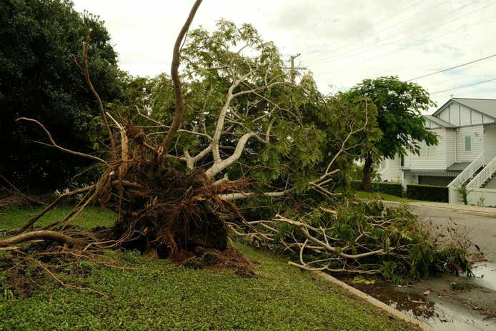 Tree fallen on roof of house