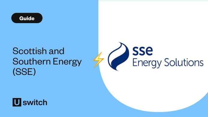 SSE Business logo