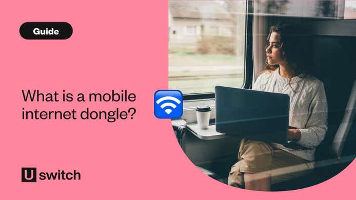 woman working with laptop on the train