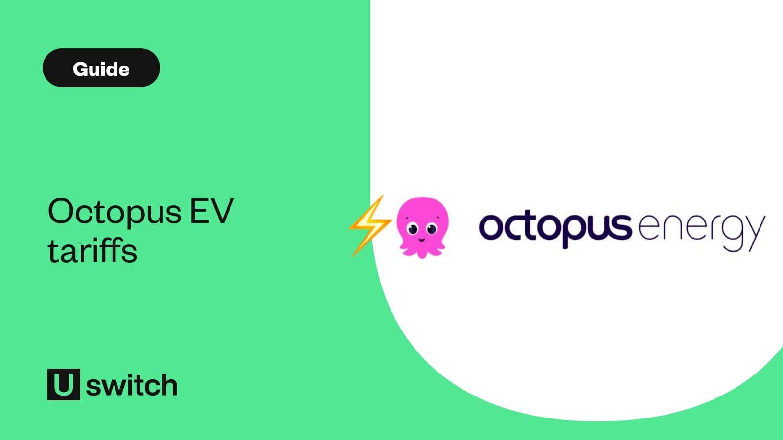 Octopus Energy Logo