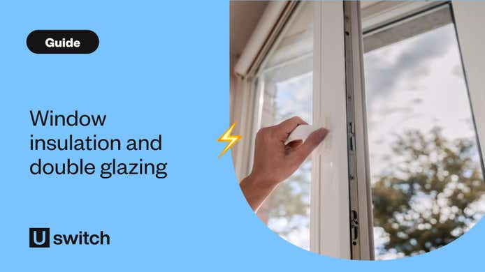 Door with double glazed windows