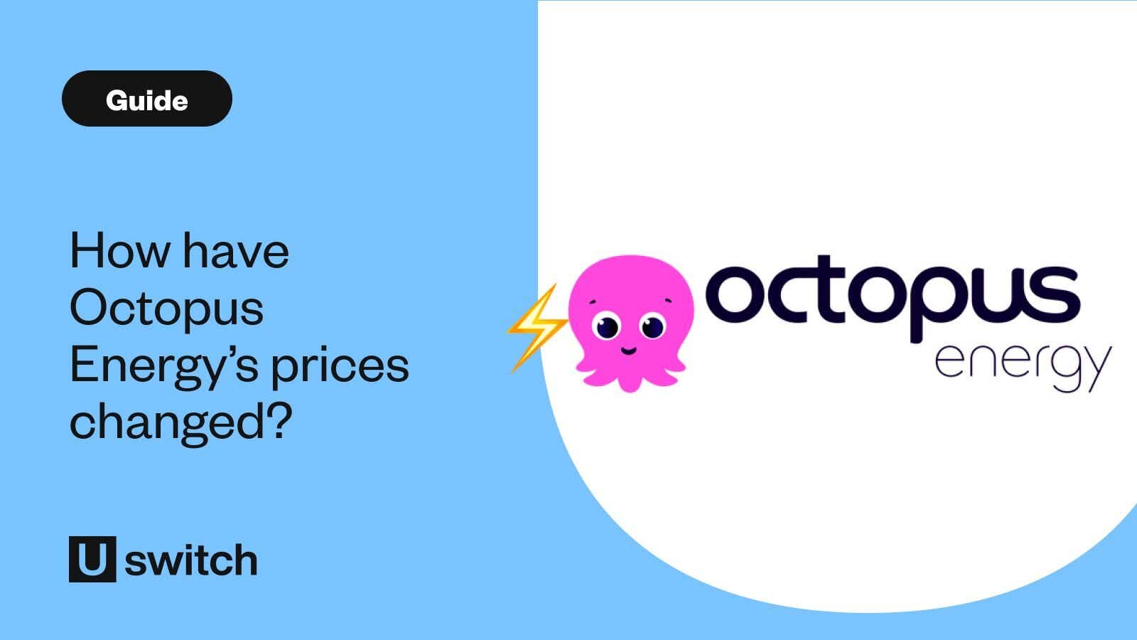 Octopus Energy Logo