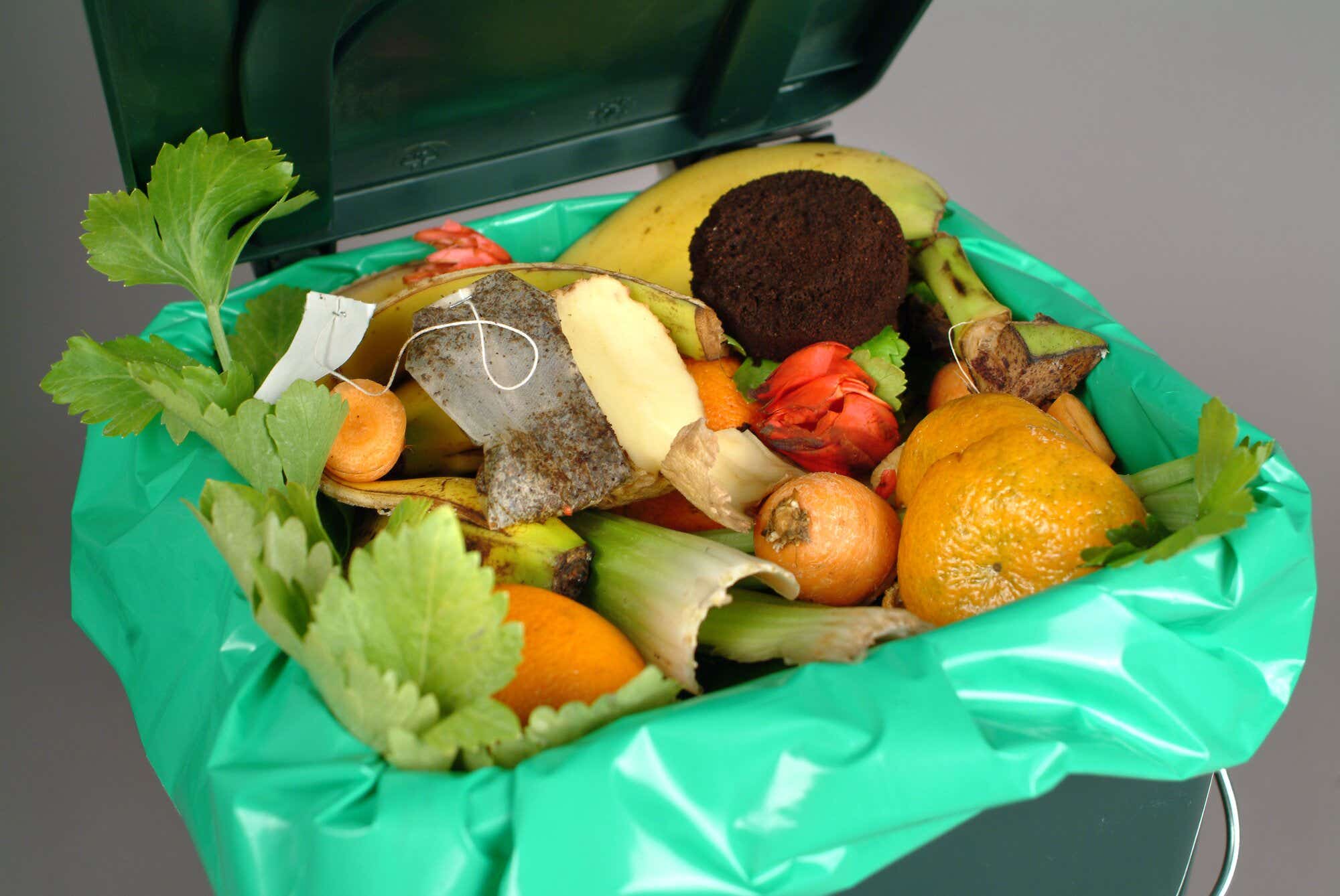 Food waste bin