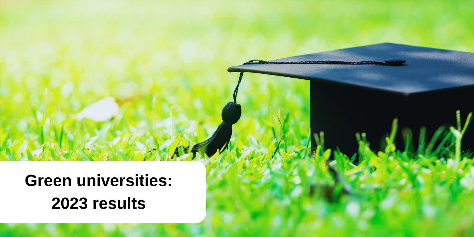 Feature image with a black graduation hat on grass.