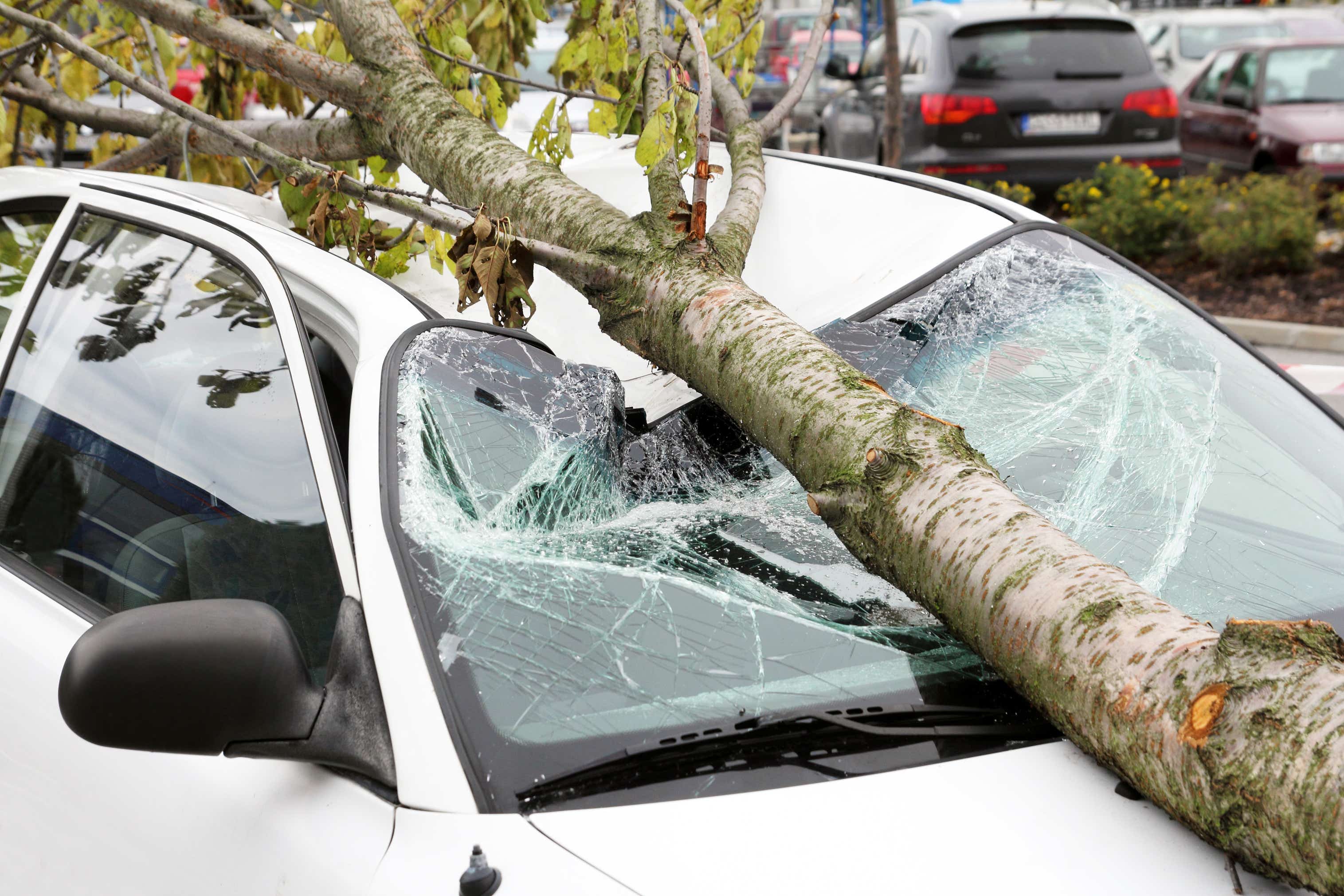 How to claim on your car insurance for storm damage