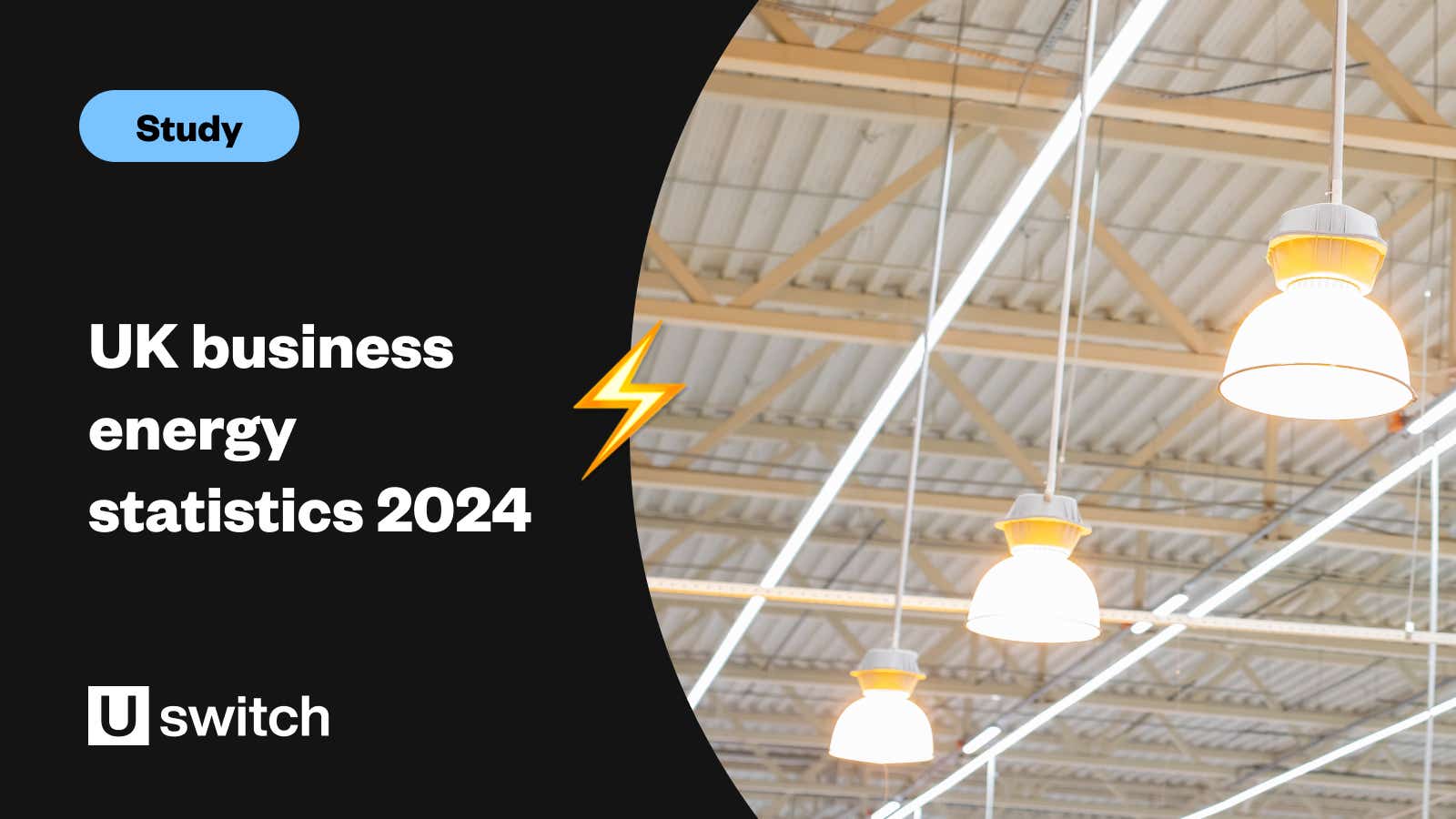 Feature image with the title business energy statistics 2024 and a picture of commercial lighting