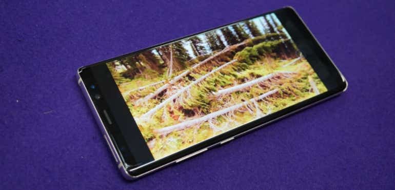 Samsung Galaxy Note 8 screen woodland hero size