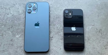 iPhone 12 mini vs iPhone 12 Pro Max