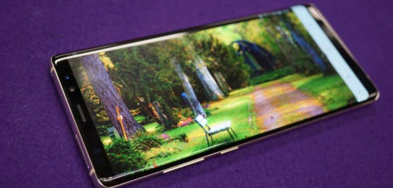 Samsung Galaxy Note 8 screen hero size garden image