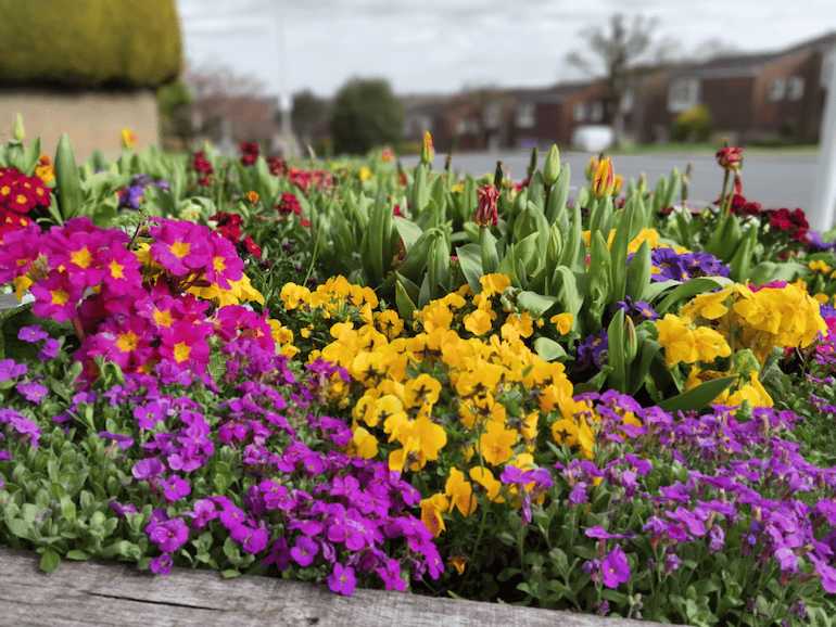 Huawei P40 Pro sample 2
