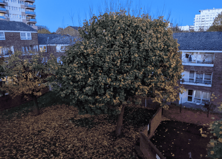 Pixel 5 - Low light
