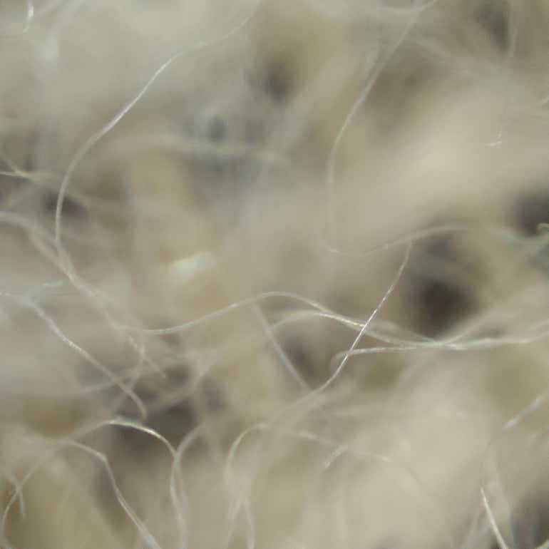 Camera sample - macro (blanket)
