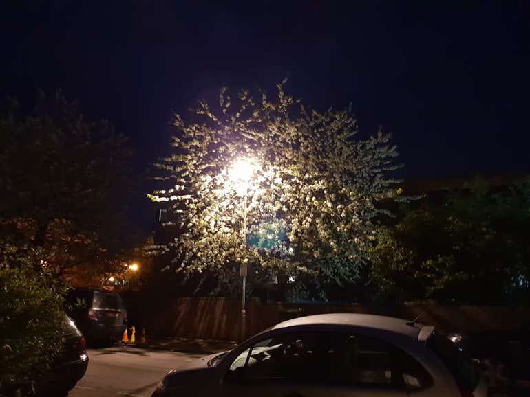 treelamp S9 1x