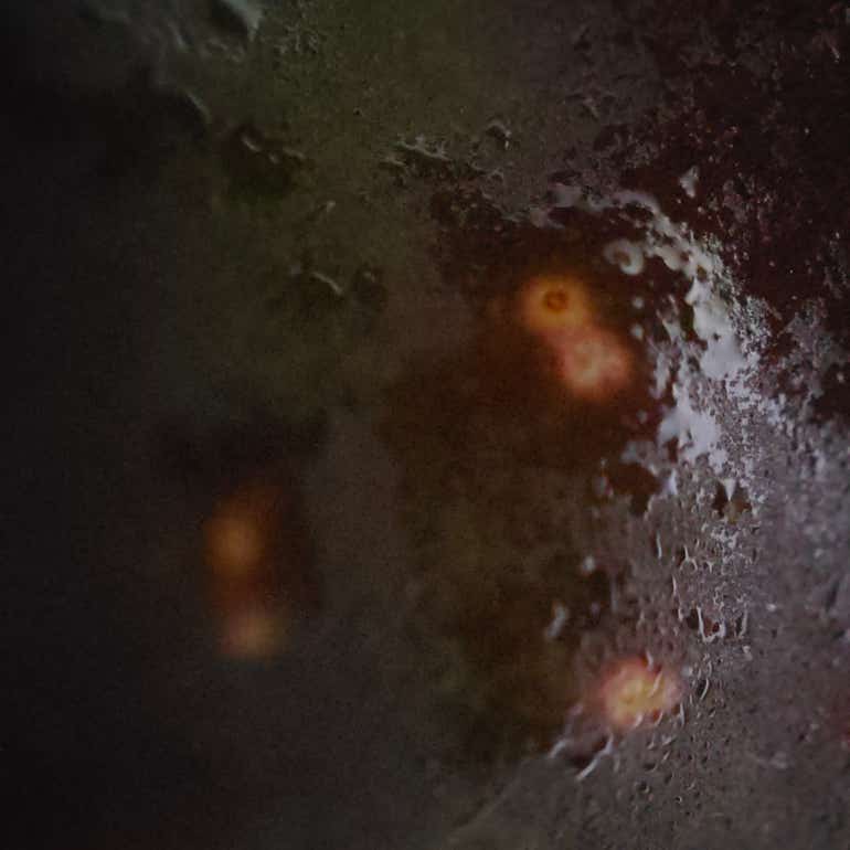 Camera sample macro (avocado)