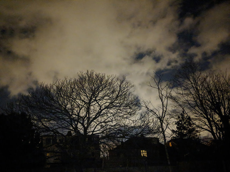 Google-Pixel-2-camera-sample-nighttime-trees