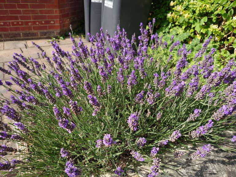 Sony Xperia 1 samples - 16