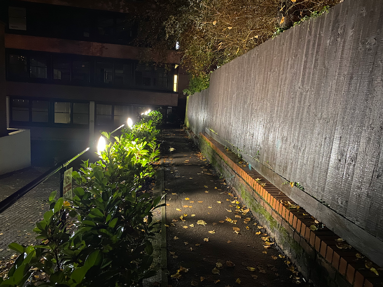 iPhone 11 Pro