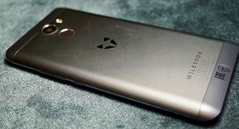 wileyfox resting back