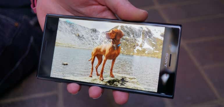 Sony Xperia XZ Premium dog image