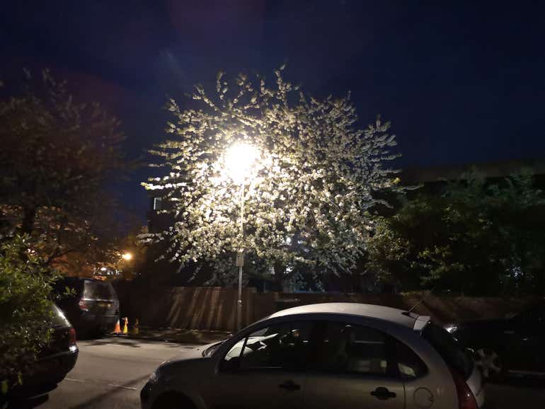 treelamp P20 1x
