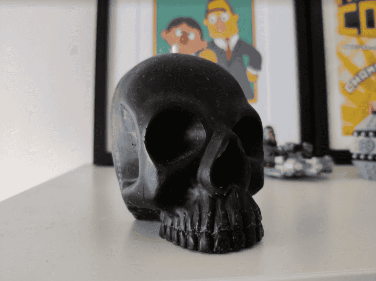 OnePlus 8T camera sample skull