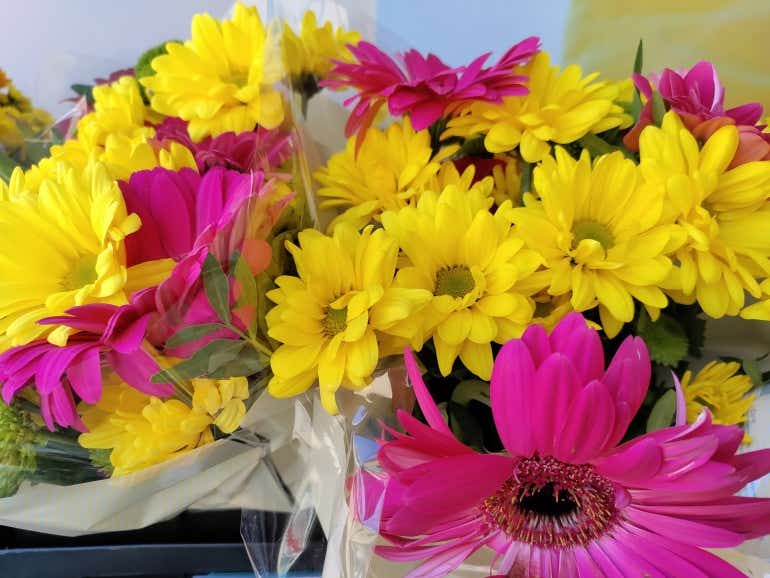 OnePlus Nord CE camera sample flowers