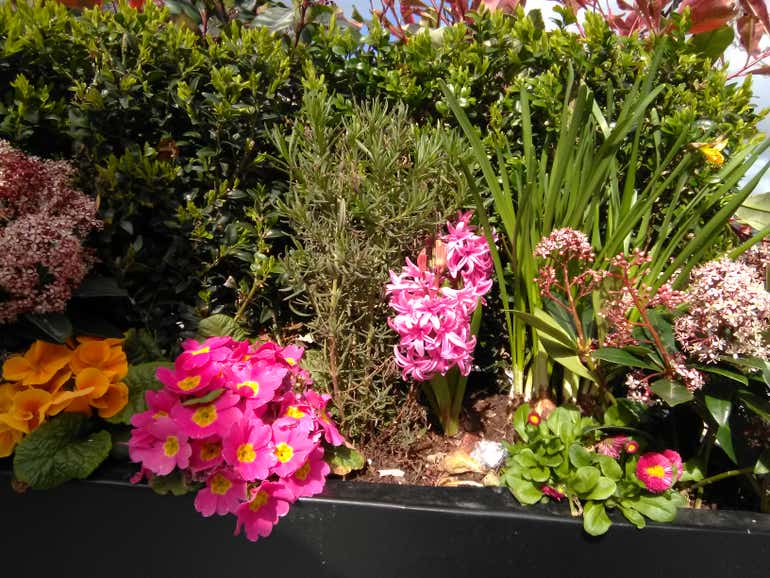 Nokia 2 sample image 2