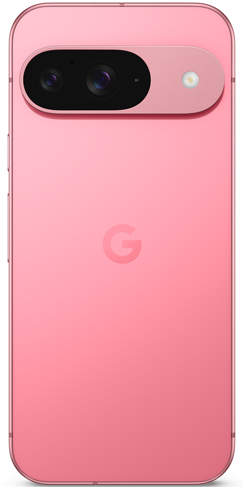Pixel 9