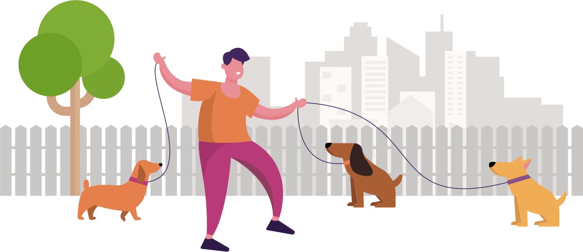 Work out your walkies | Lockdown dog walk calculator | money.co.uk
