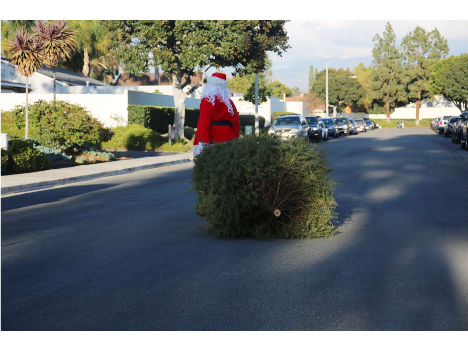 Sad Santa taking away a Christmas tree