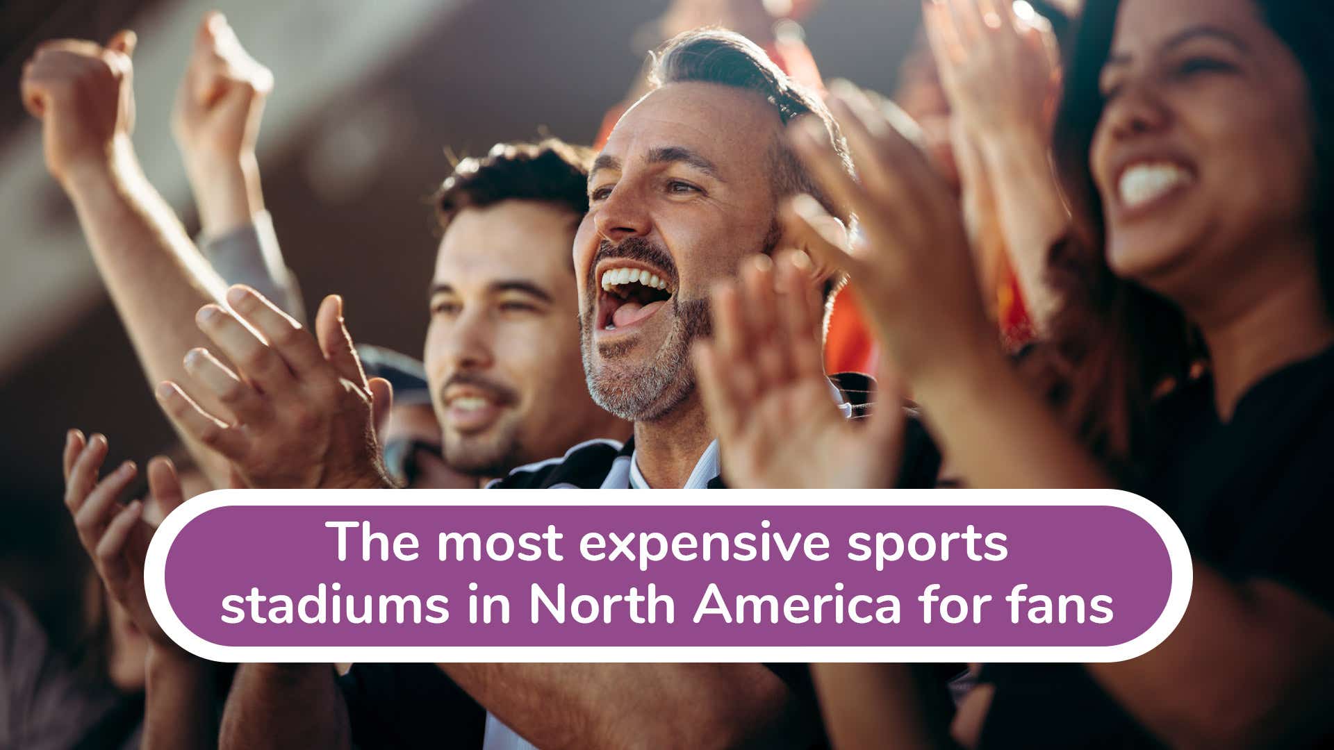 fans at a sporting event with the title The most expensive sports stadiums in north america for fans